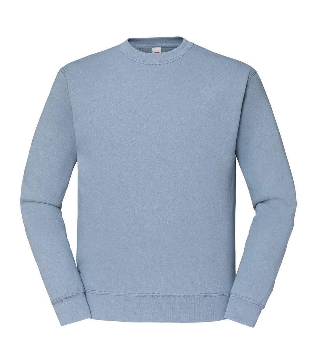 Fruit of the Loom - Sweat CLASSIC 80/20 - Homme (Bleu pâle) - UTRW8098