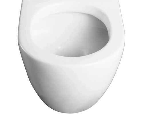 form&style wandclosetset NEVIS 51 wit met toiletzitting en soft-close mechanisme