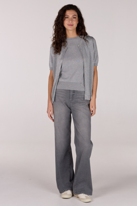 Juffrouw Jansen grijze dames top