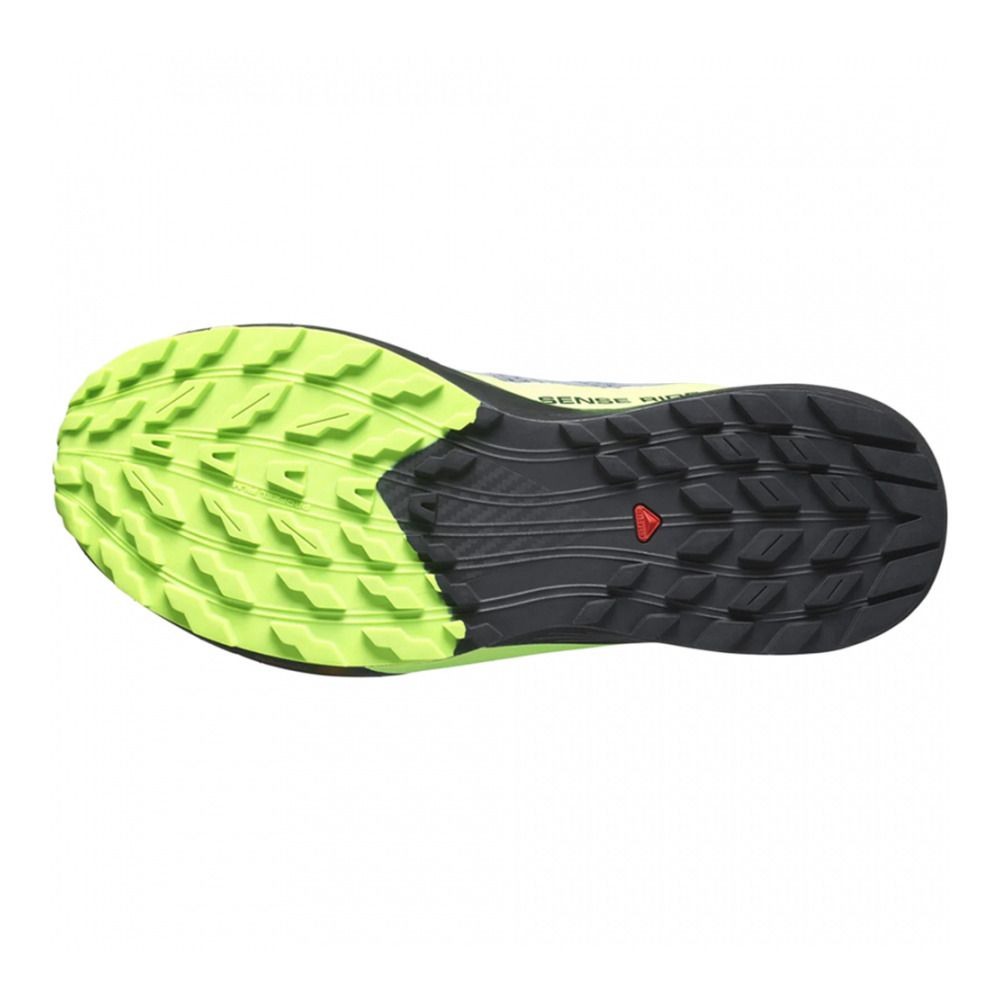 Salomon SENSE RIDE 5 GTX - Chaussures trail Homme flint stone/black/green gecko