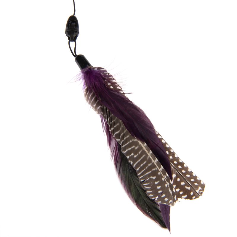 Canne à pêche Bird à prix discount sur bitiba.fr
