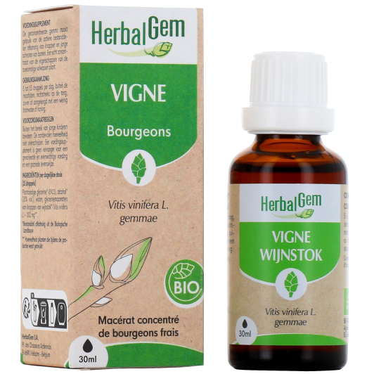Herbalgem macérat vigne bio - Gemmothérapie concentrée