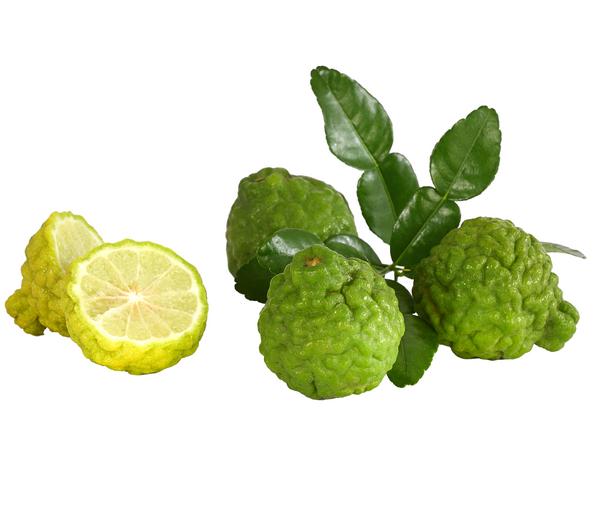 Dehner Gourmet Garten Kaffir-Limette