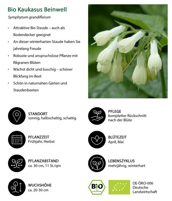 Bio Stauden-Set Blühendes Frühjahr im