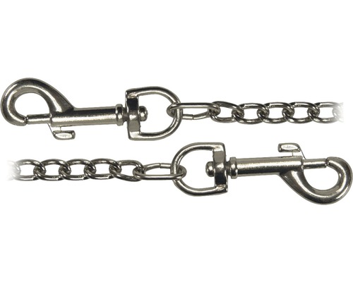 Vernikkelde tassenketting