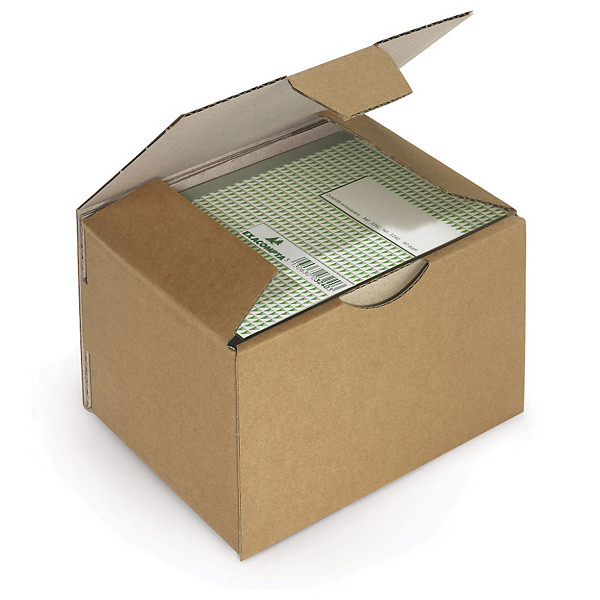 Boîte postale Rajapost brune 20x14x7,5 cm, lot de 50.