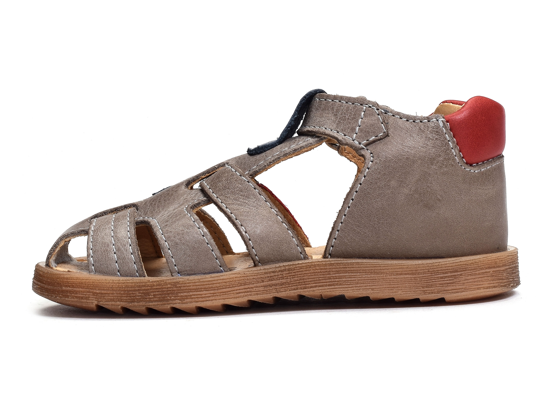 Dragon taupe