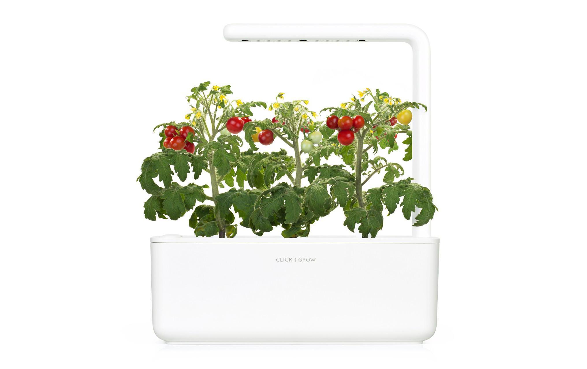 Kräutertopf Smart Garden 3 WeissZüchten Sie Küchenkräuter und andere Pflanzen bequem in der eigenen Wohnung