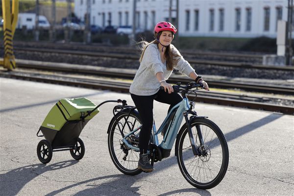 VELOSHOPPER Einkaufswagen  grün