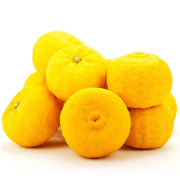 Yuzu du Japon frais