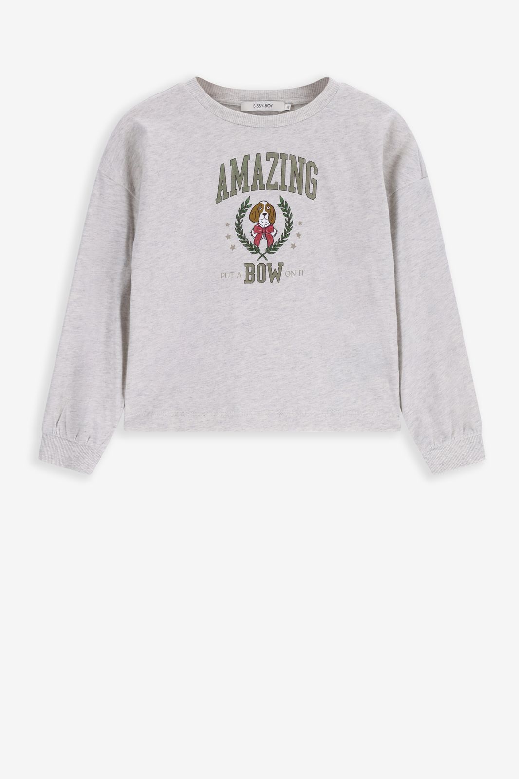 Grijze longsleeve met print