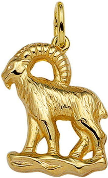 Hanger Sterrenbeeld - 14K Geelgoud