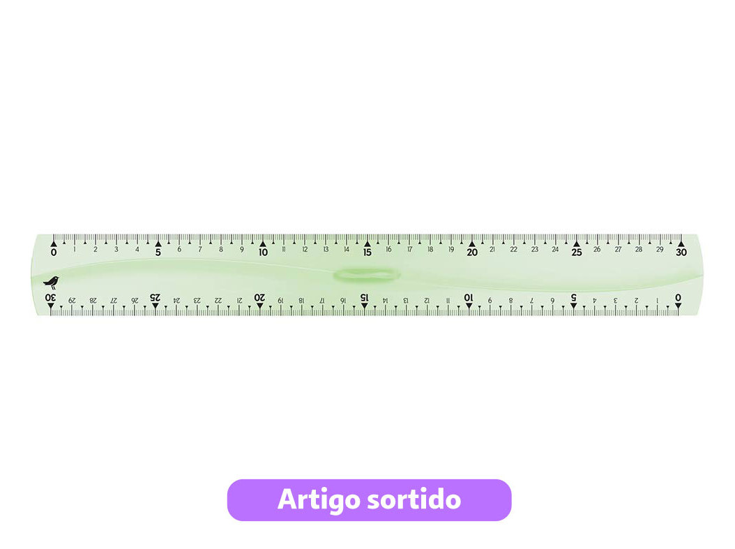 RÉGUA INQUEBRÁVEL AUCHAN TRIPLO DECIMETRO CORES SORTIDAS