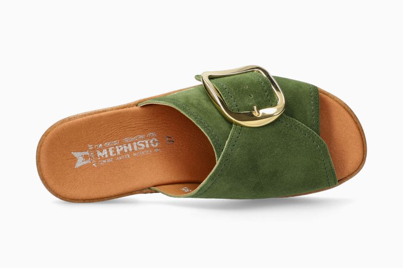 FOLINE OLIVE