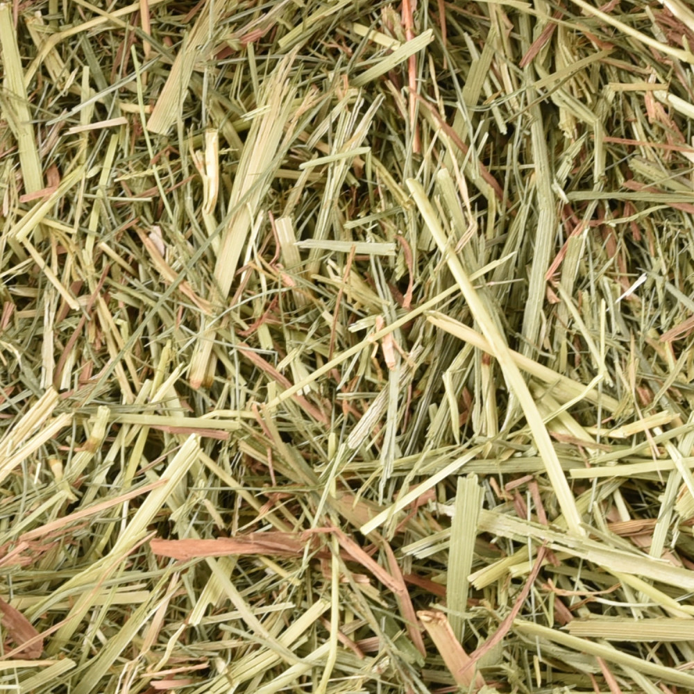 Foin de pré premium nature 1 kg soit 30 litres pour rongeur