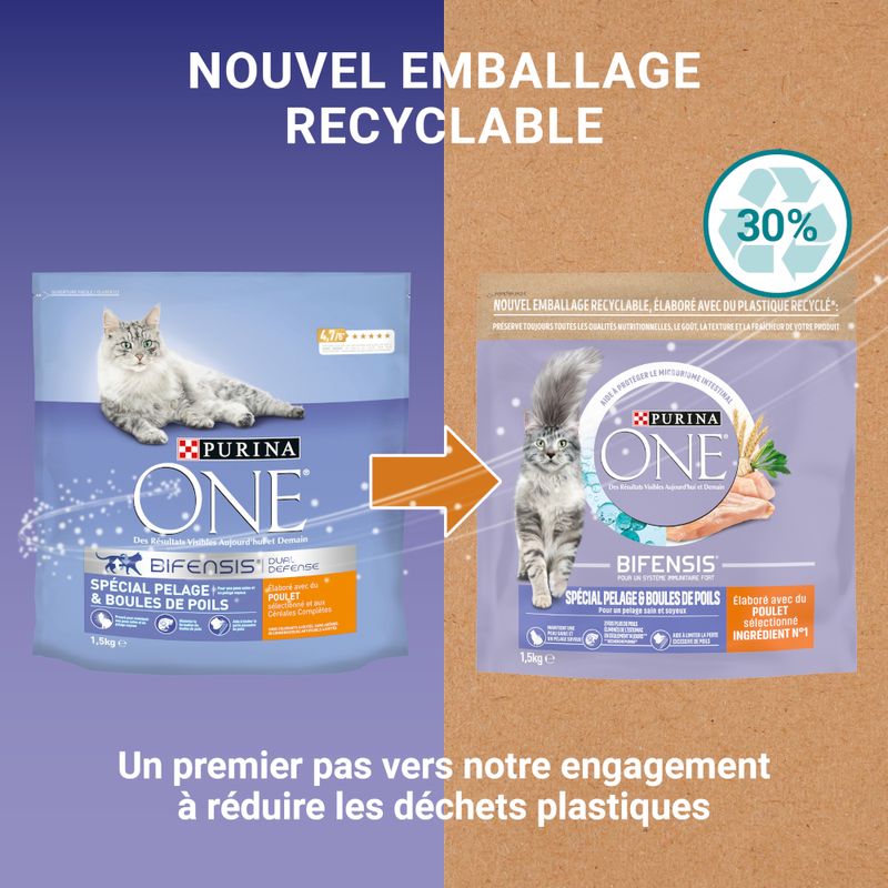 PURINA ONE Pelage & Boules de Poils