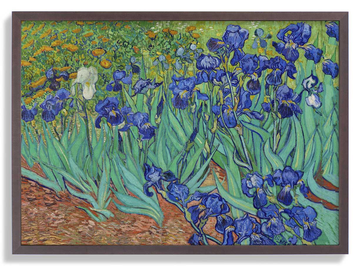 Schwertlilien von Van Gogh