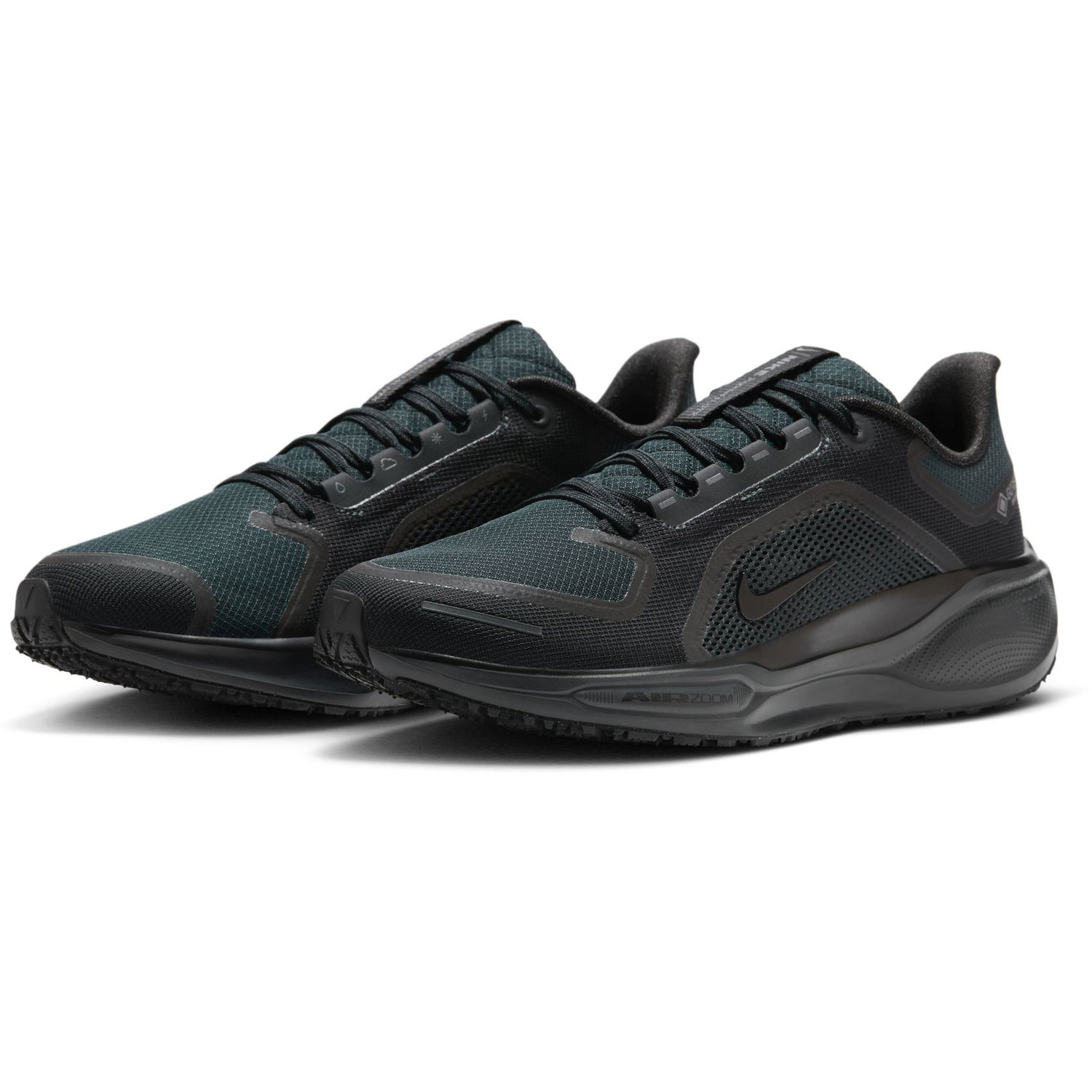 Nike Pegasus 41 GTX Heren