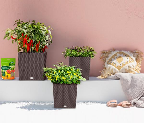 LECHUZA® Kunststoff-Topf Cube Cottage,