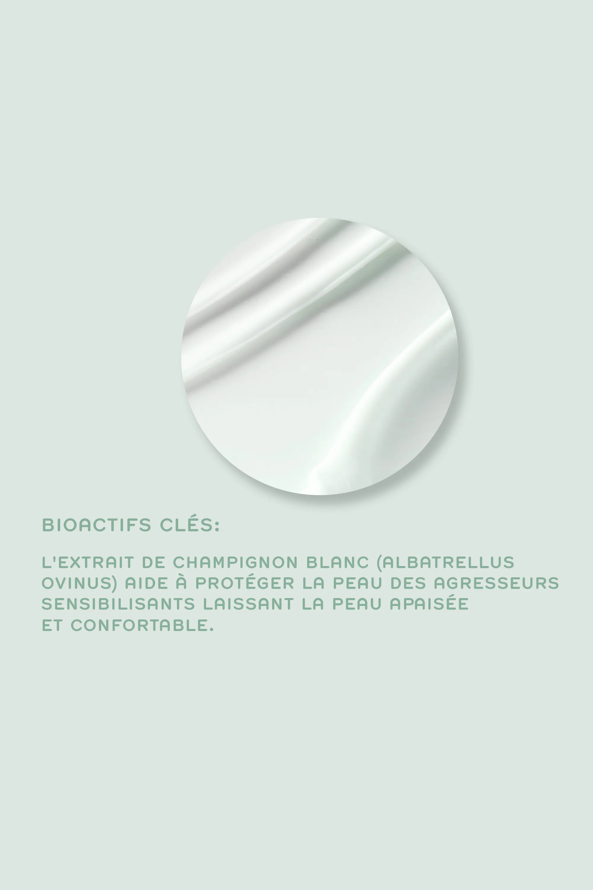 REN Masque apaisant ultra-réconfortant EverCalm-50 ml