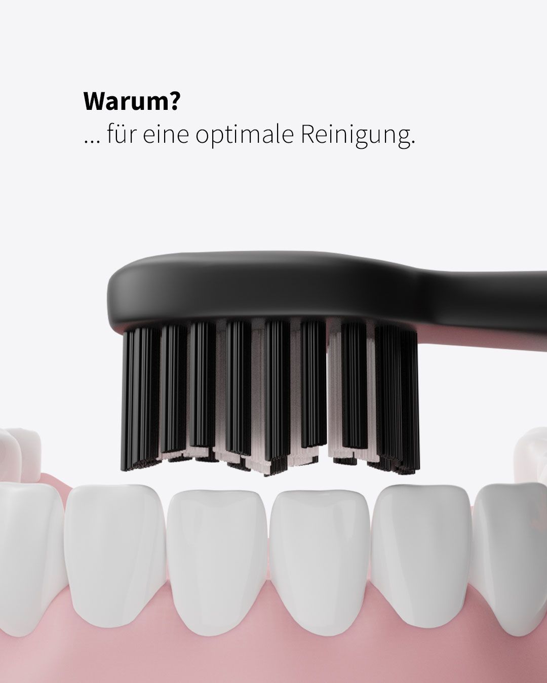 Zahnheld Bürstenkopf Basic Medium weiß (6 Stück)