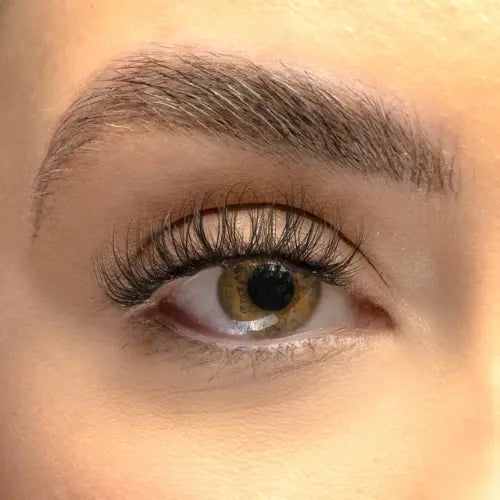 Classic Wispy XL Pre Mapped DIY Lashes
