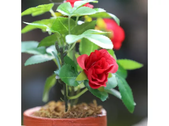 ~Rosier plante fleur artificielle extérieur cimetière tissu rouge 12cm