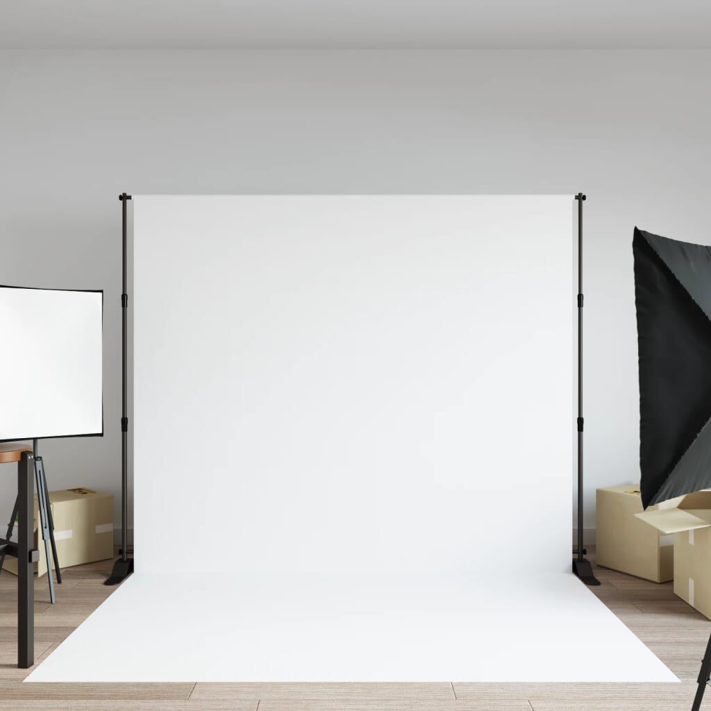 vidaXL Achtergrondstandaard zwart 254x243 cm staal