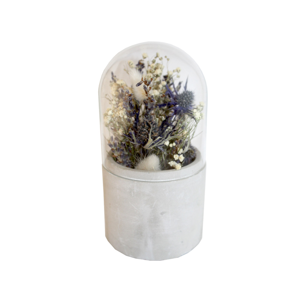 Cloche de fleurs séchées bleu