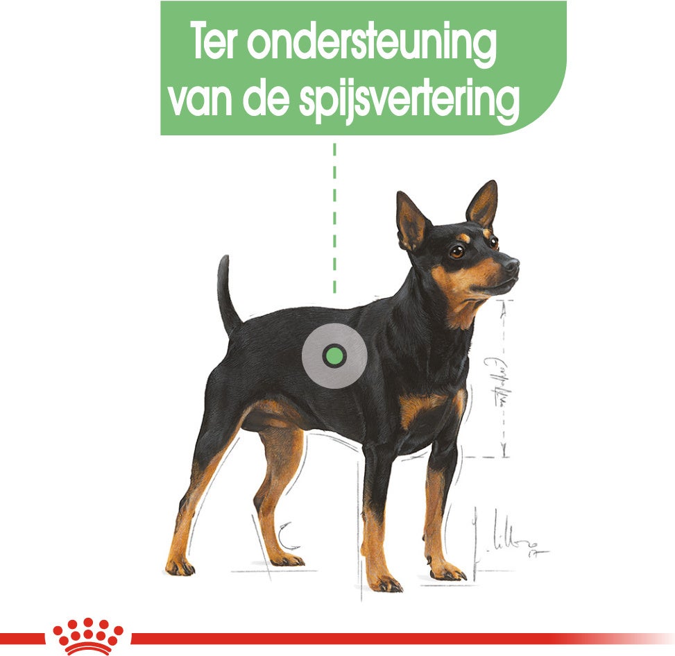 Royal Canin hondenvoer Digestive Care Mini 3 kg