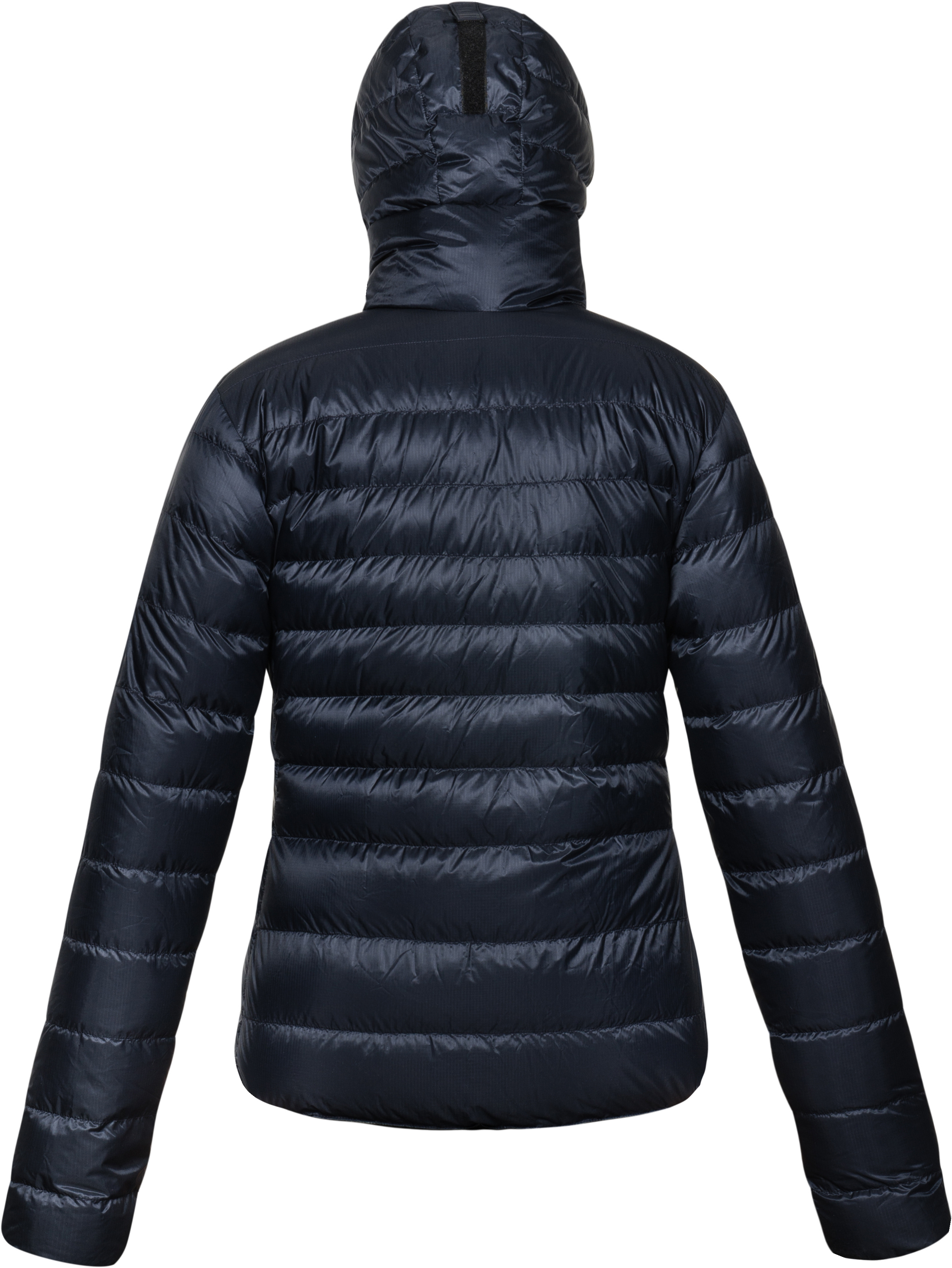 M Down Hoody 900 Highlight