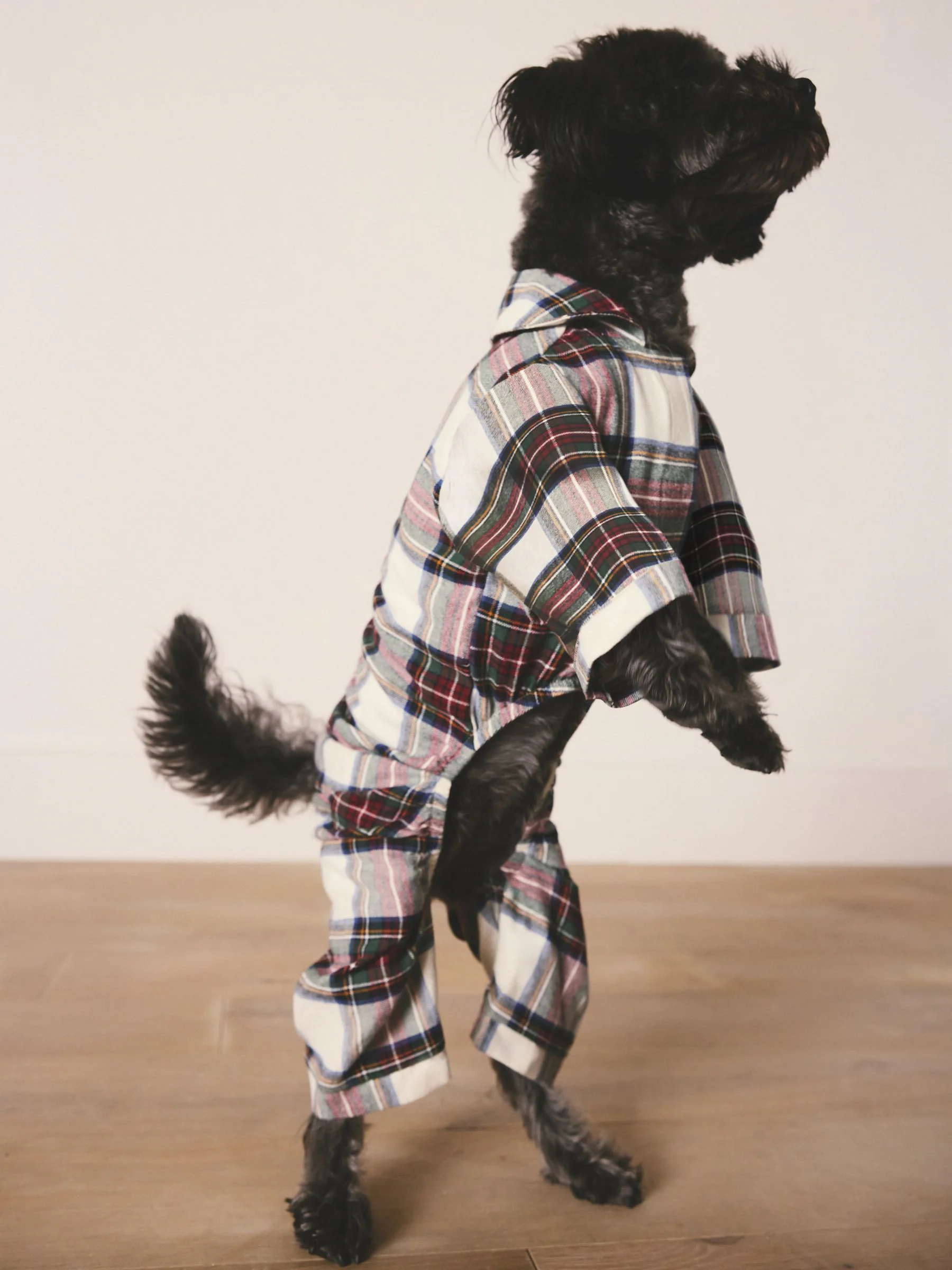Bijpassende familie Kerstmis Pyjama's voor huisdieren
