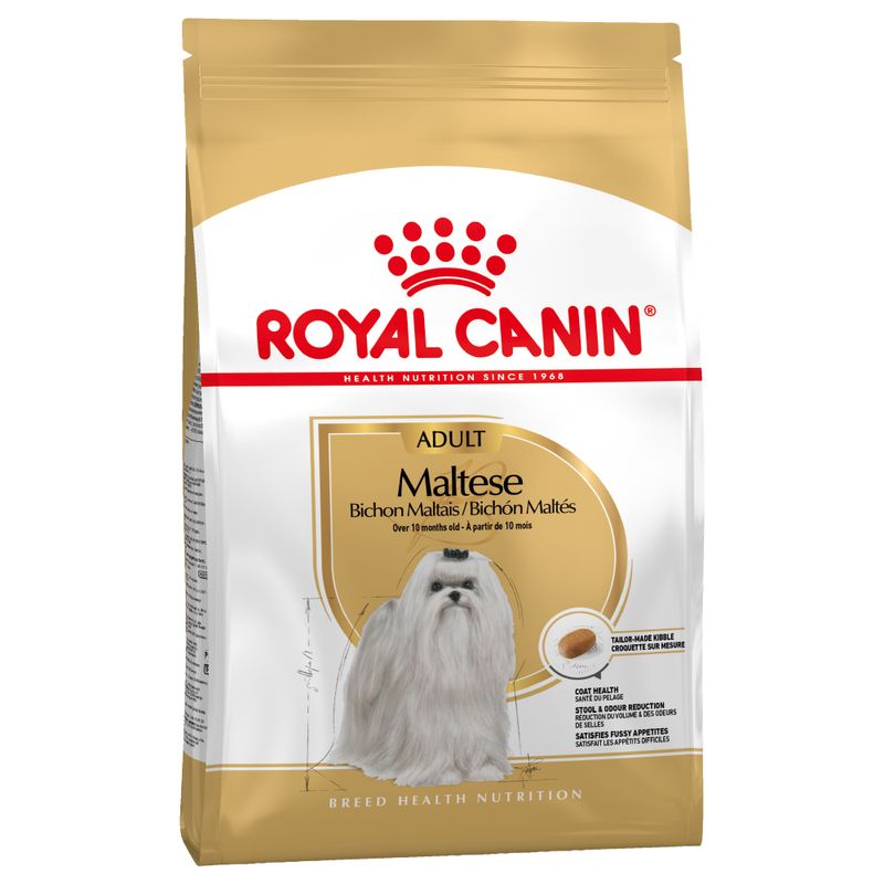 Royal Canin Bichon Maltais Adult à prix discount sur bitiba.fr