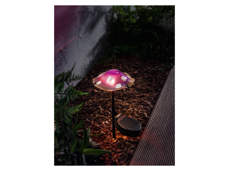 Solar LED-paddenstoel