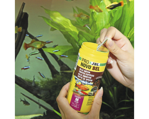 Korrelvoer JBL PRONOVO BEL GRANO maat M 250 ml