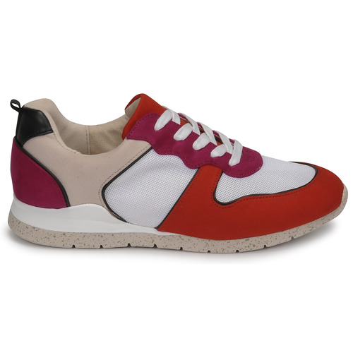 André - ADO - Multicolore