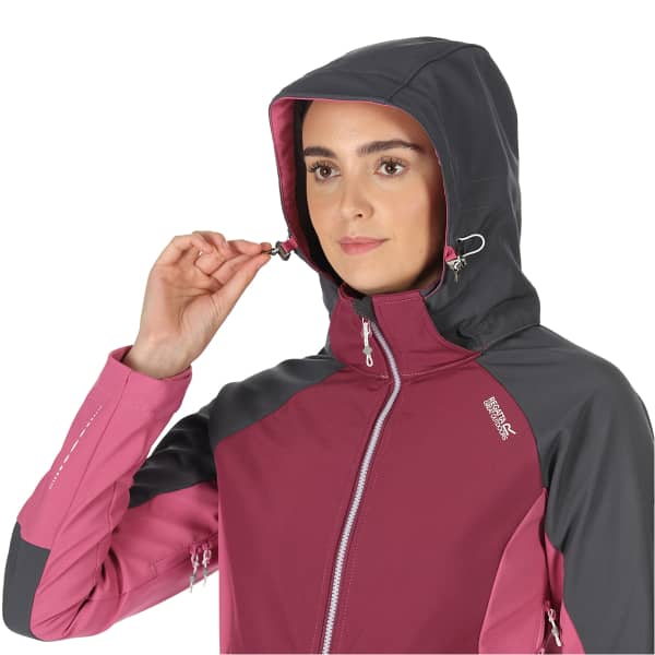 Softshell randonnée REGATTA W DESOTO VIII SLGRY/AMARHZ