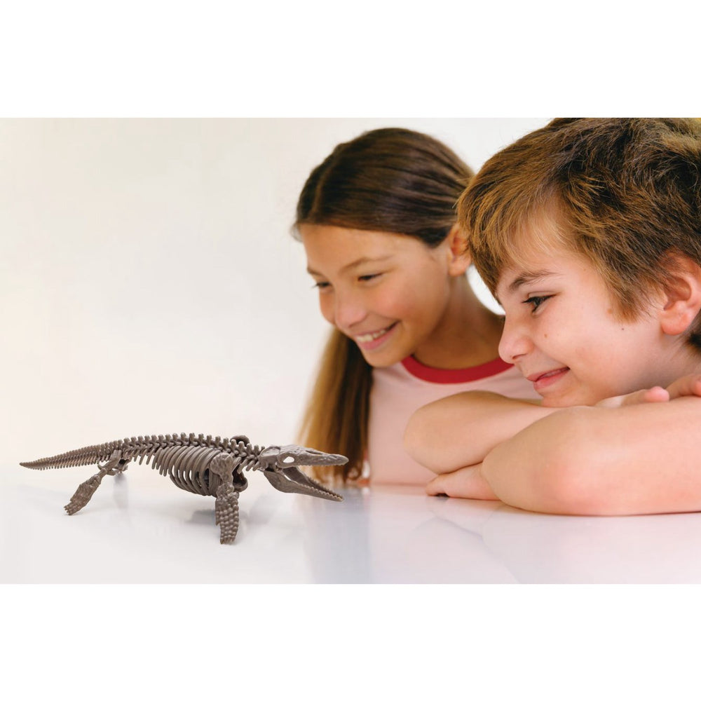 Køb 4M Udgrav Et Mosasaurus-Skelet