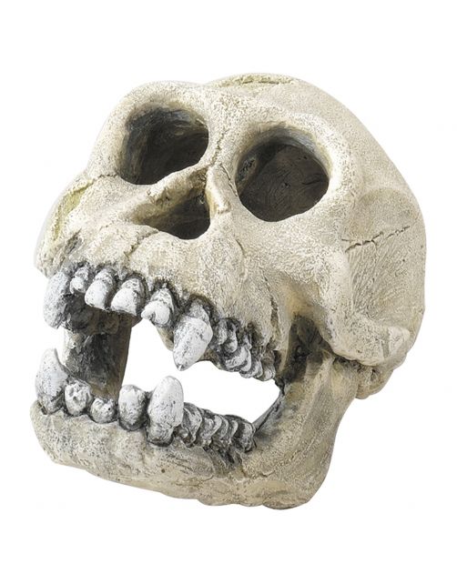 Aqua Della Decor Chimpanzee - Aquarium - Ornament - 16 cm