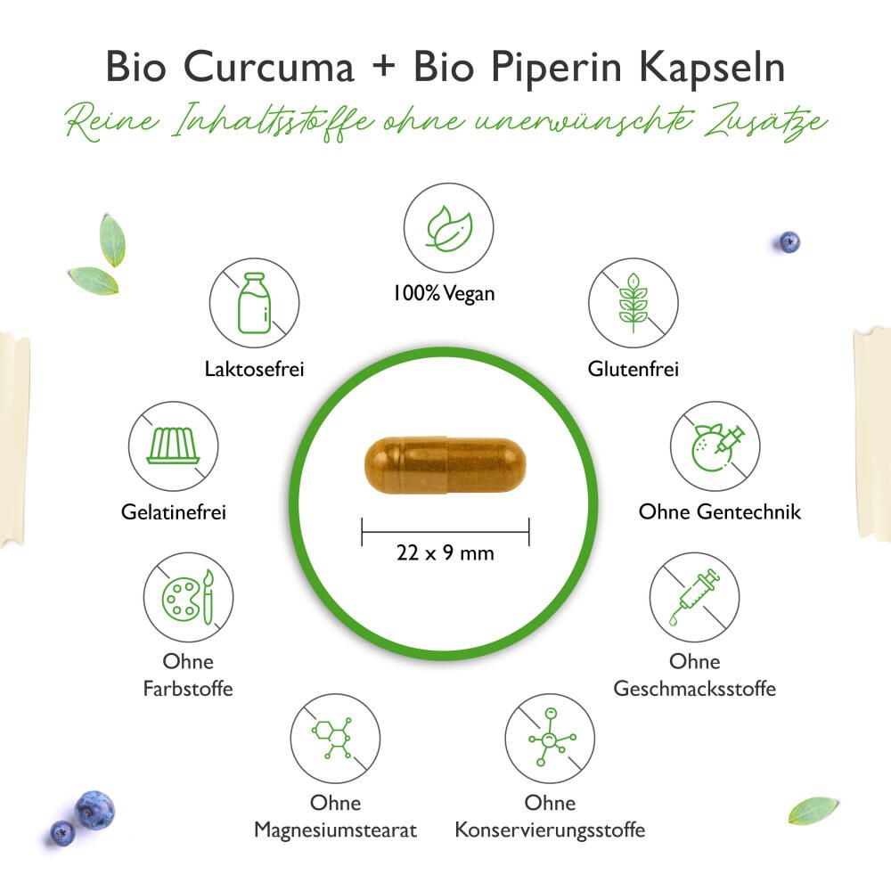 vit4ever Bio Curcuma