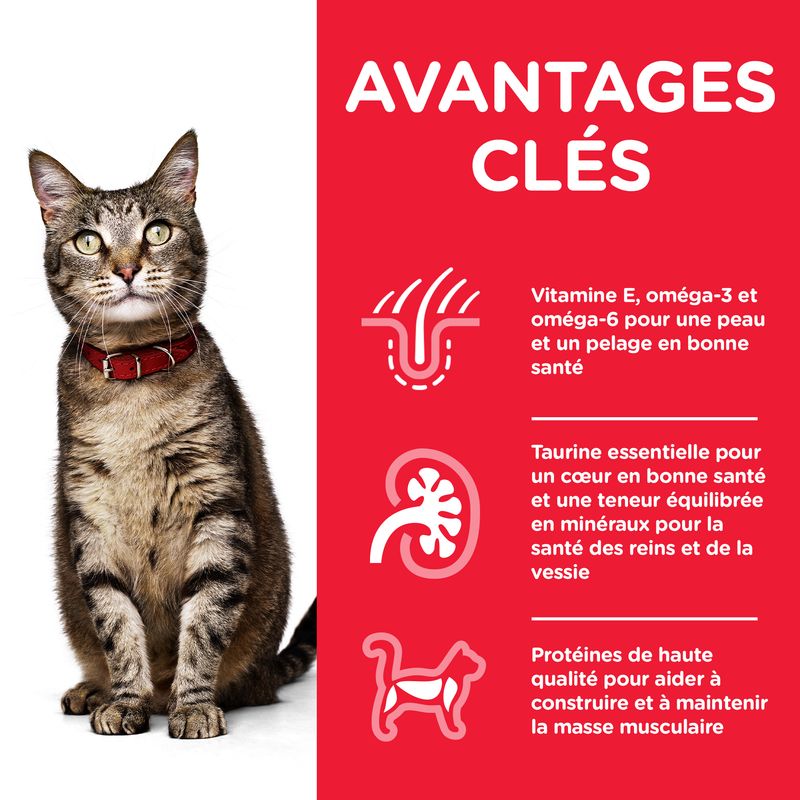 Hill's Science Plan Adult agneau, riz - bitiba.fr