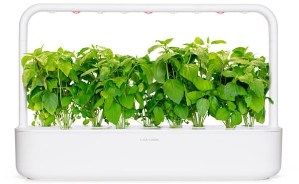 Click & Grow Smart Garden refill Cinnamon Basil 3pcs