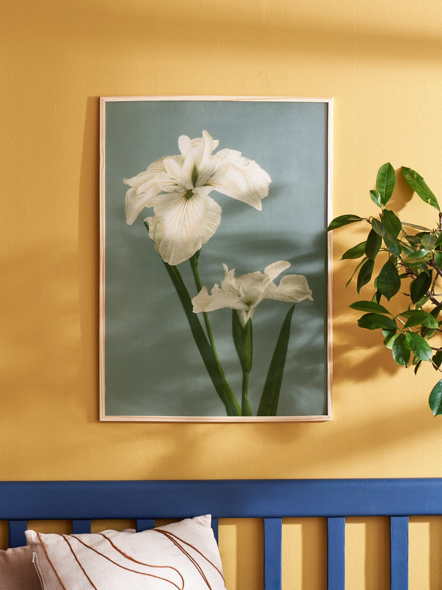 Plakat 50 x 70 | Papir. | Multi | The Dybdahl Co.
