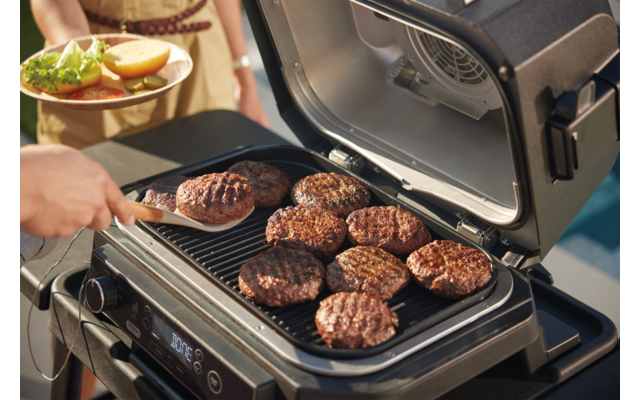 Ninja Woodfire Pro XL 4 in 1 elektrischer Outdoor Grill & Smoker mit Smart Cook System 1700 W