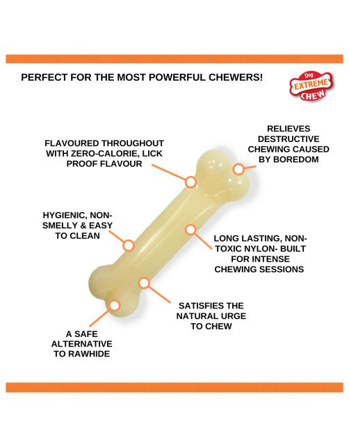 Nylabone Durachew Bone Regular S - Hondenspeelgoed