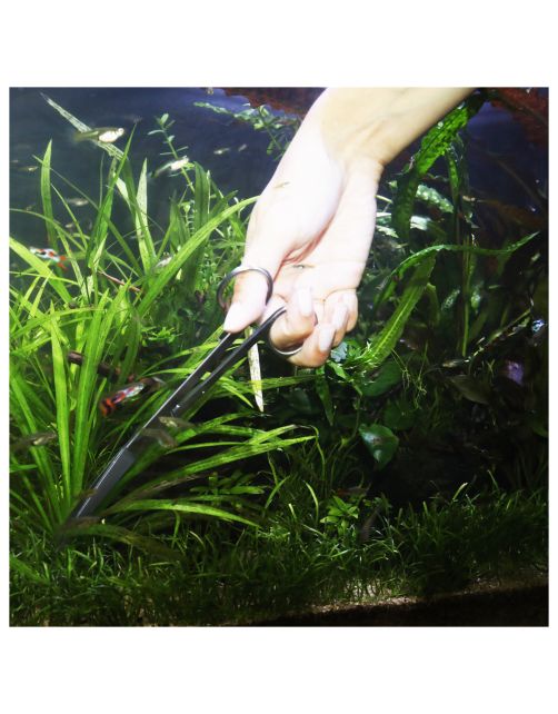 Jbl Proscape Tools S 30 Curved - Aquascaping - 30 cm