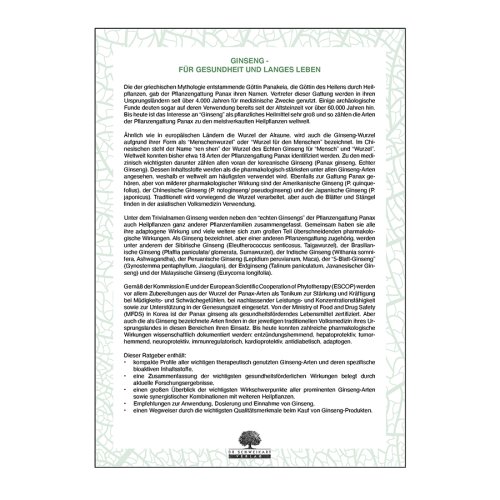 Sunday Natural Products  Ginseng