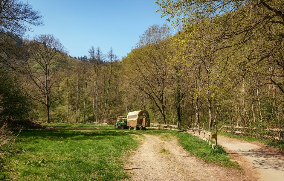 Planwagenfahrt Bruchhausen