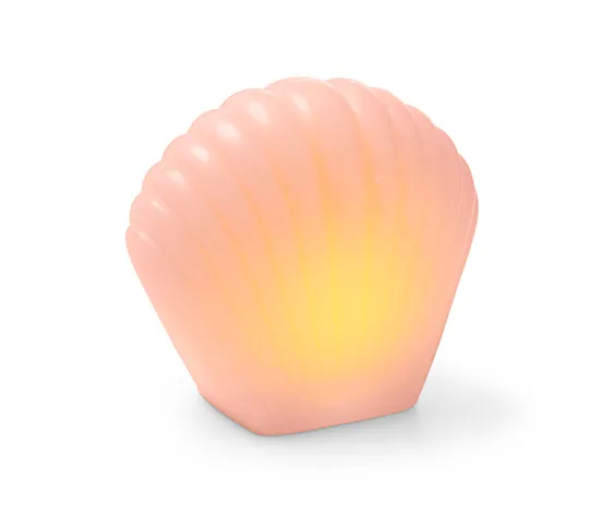 LED-Dekomuschel