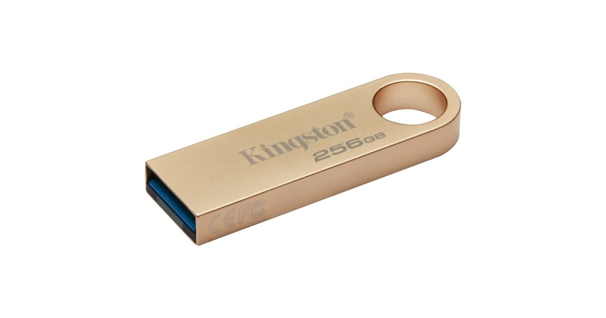 KingstonDataTraveler SE9 G3 256 GB usb-stick  (Goud, DTSE9G3/256GB, USB-A 3.2 (5 Gbit/s))